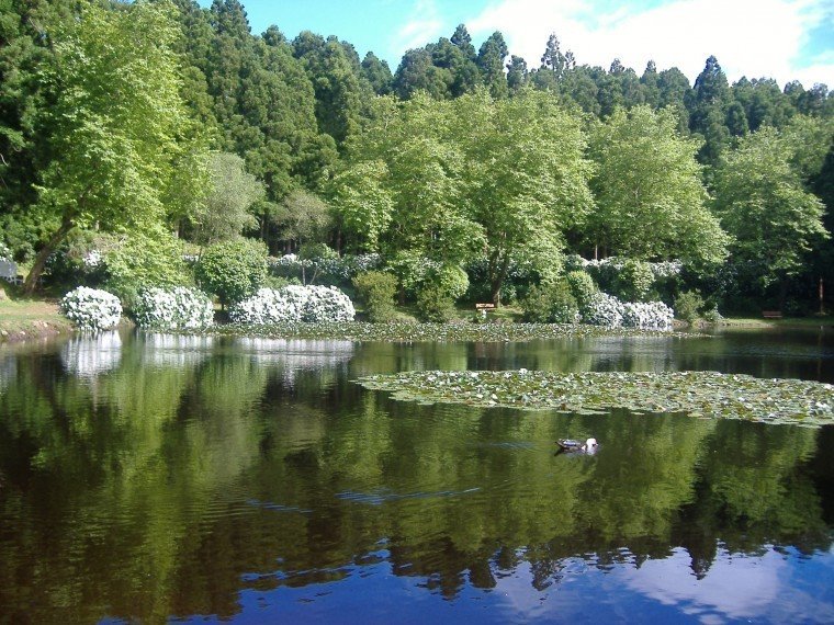 [LAGOA+DAS+PATAS.jpg]