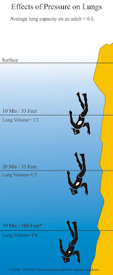Average Lung Capacity