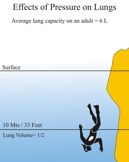 scubadivingblog Effects of pressure on a diver lungs