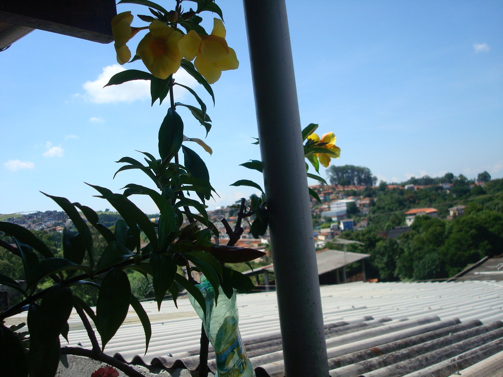 [DSC05220.JPG]