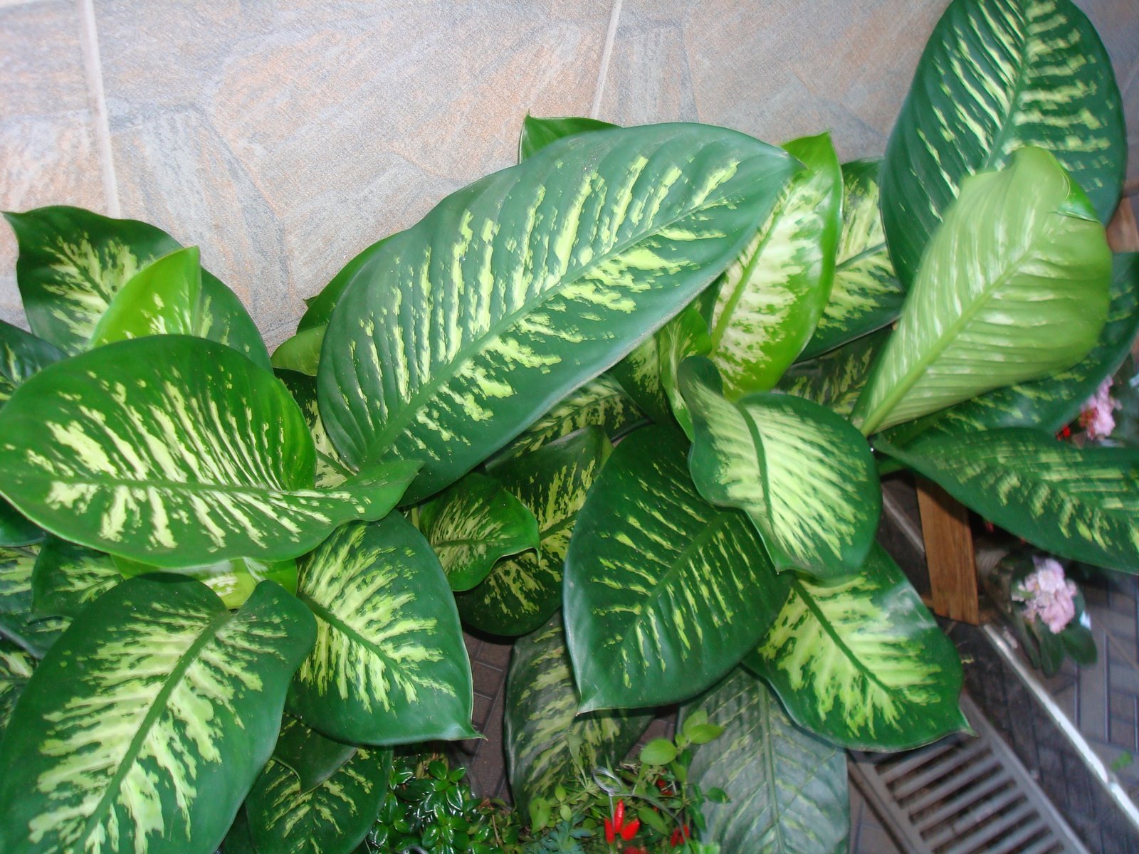 [DSC03400.JPG]