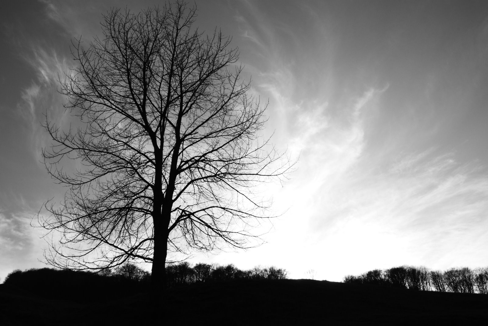 [DSC_1671.JPG]