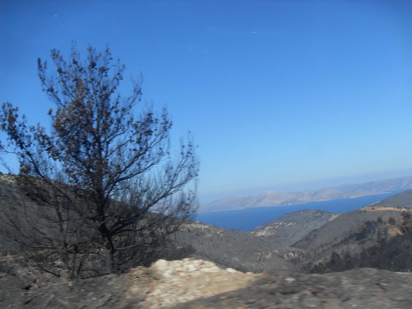 [SDC13536.JPG]