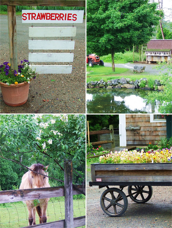 [russell_orchards2.jpg]