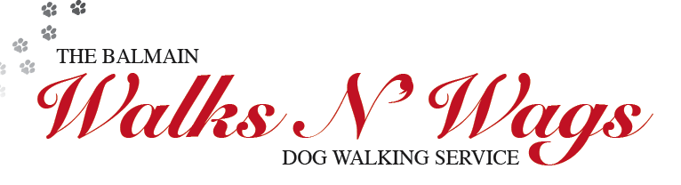 Balmain Walks n' Wags Dog Blog