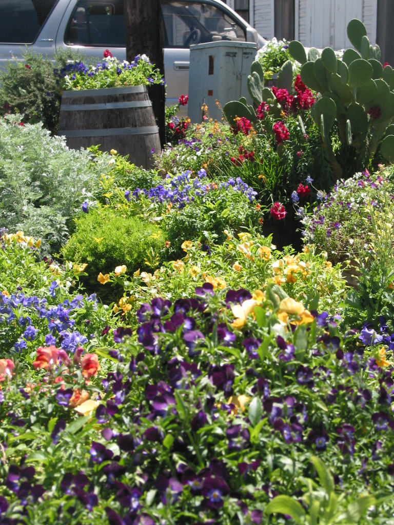 [Spring+2007+037.jpg]