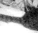 [8506.bmp]