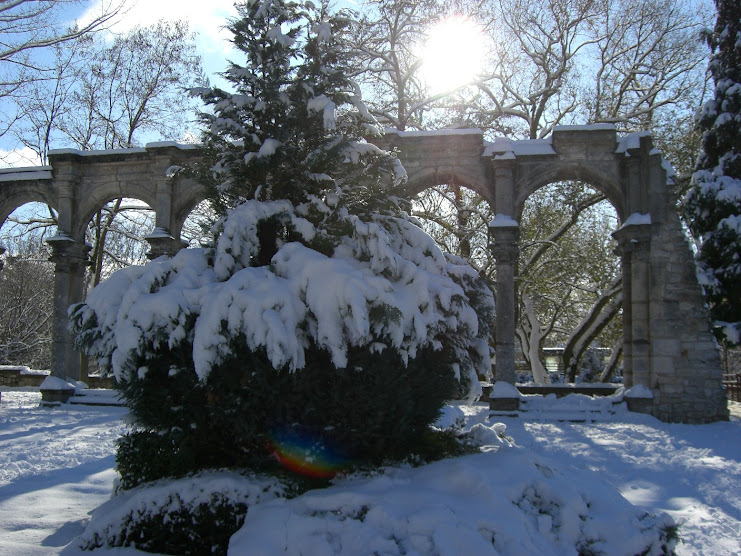 Paseo de la Isla. Burgos.