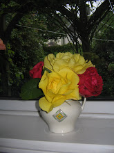 Roses from my garden