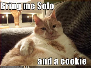 funny-pictures-orange-jabba-cat.jpg
