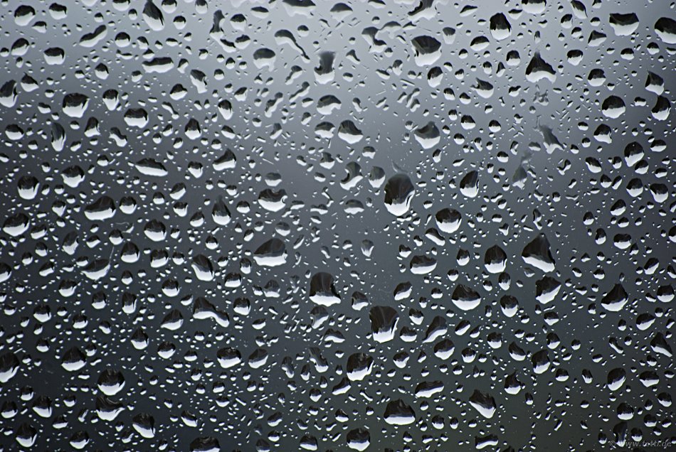 Regen Und Ballerinas Das Kommt Nicht Gut Bildhubsch