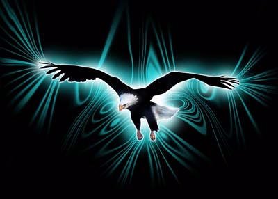 [untitled+..........+.......bmp]