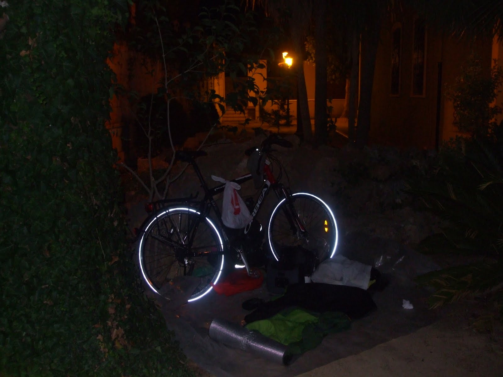 [DSCF6183.JPG]