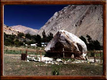 PIEDRA DEL GUANACO