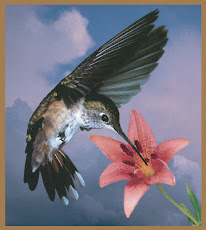 EL COLIBRI