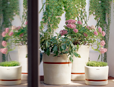 [planters.PNG]