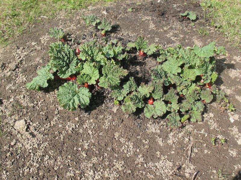 [IMG_6616.jpg]