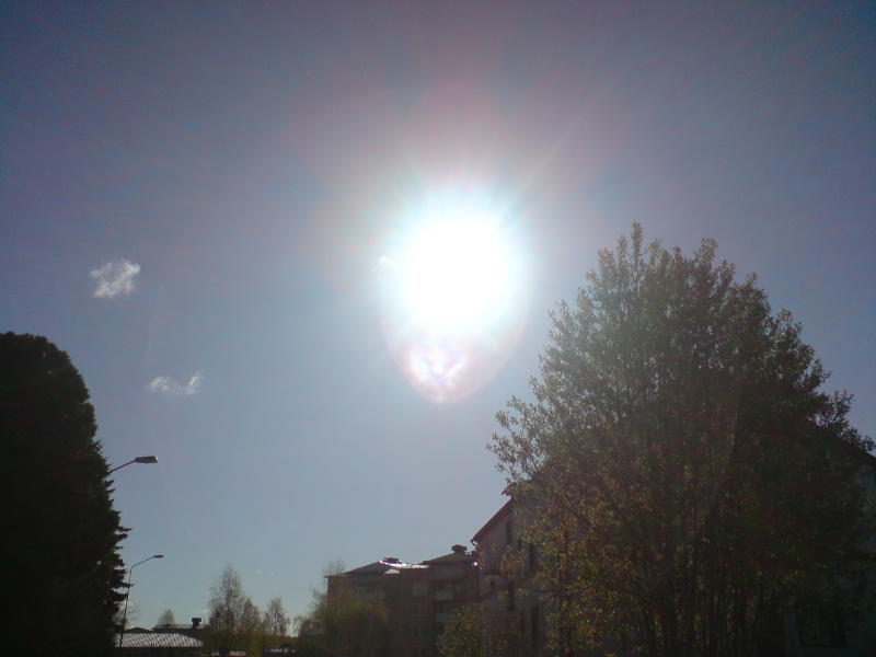 [image-upload-353-726204.jpg]