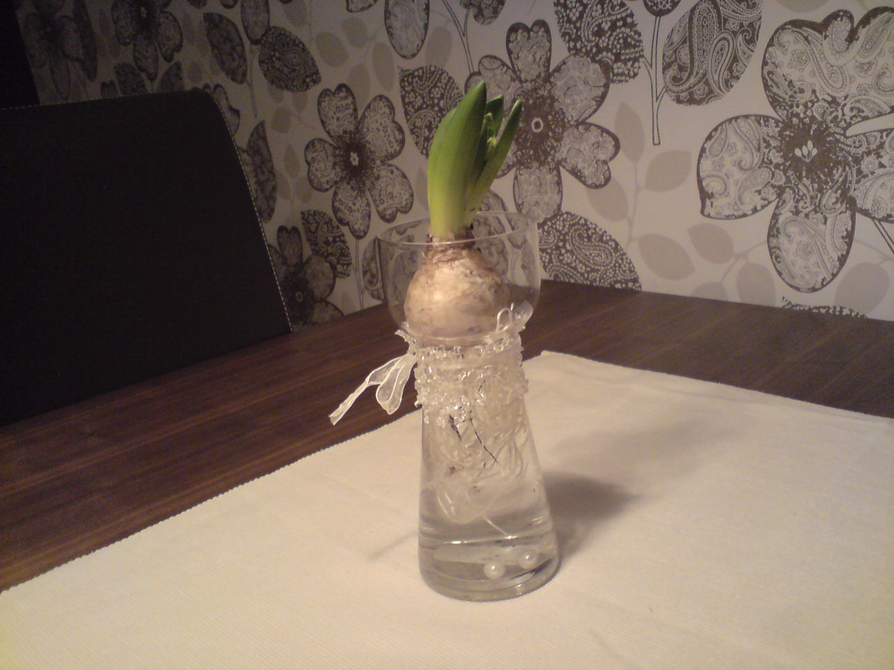 [DSC03324.JPG]