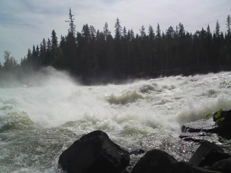 [image-upload-150-728287.jpg]