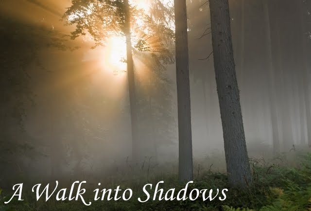 A Walk into Shadows
