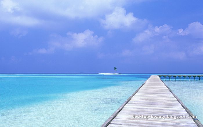 [maldive+island+beach2.jpg]