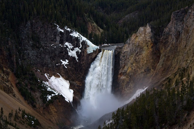The Lower Falls, 309 ft.