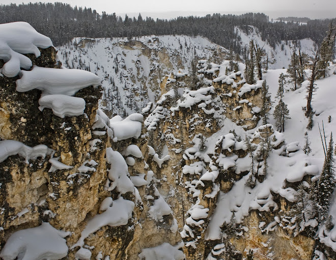 The Grand Canyon of Yellowstone