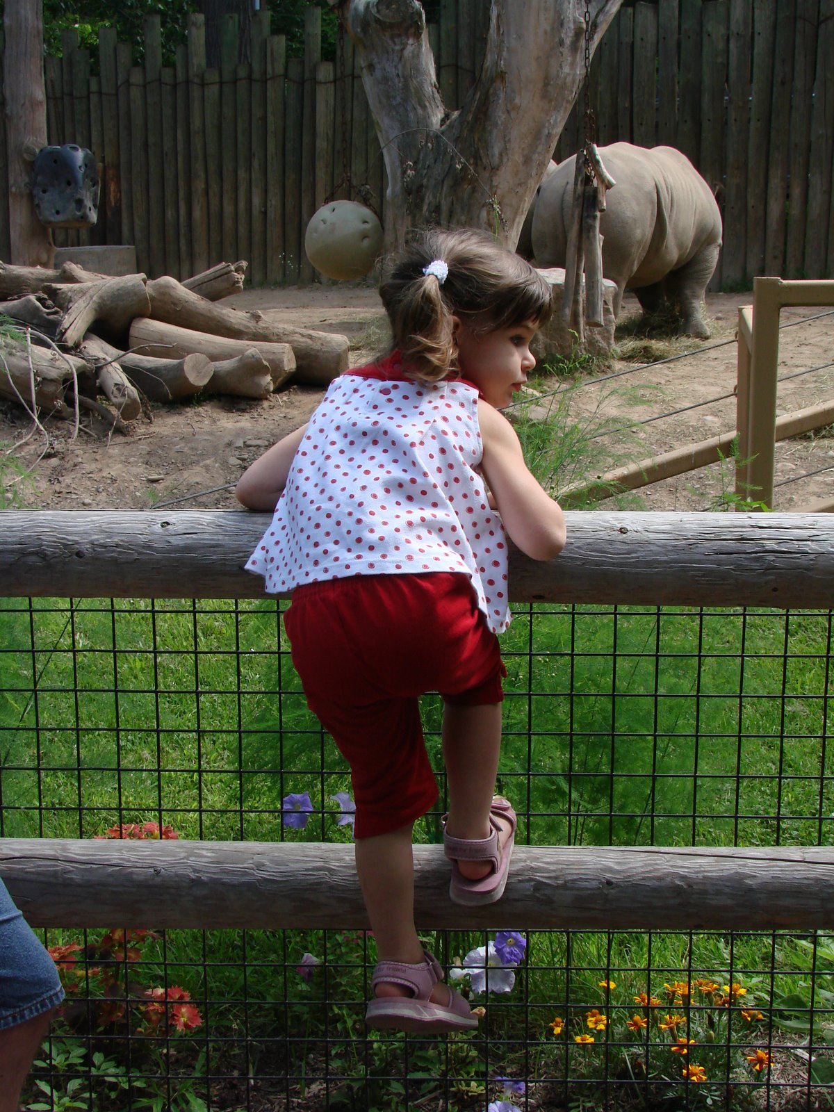 [DSC01959.JPG]