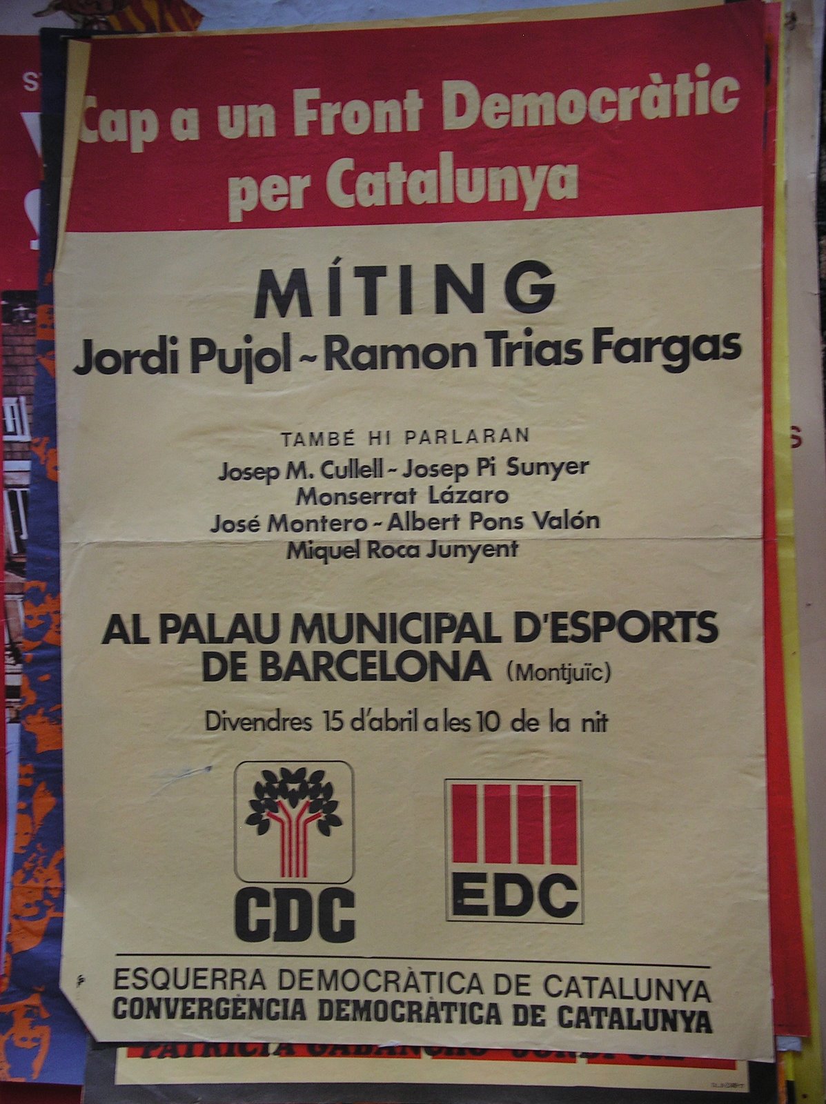 [IMGP0257.JPG]
