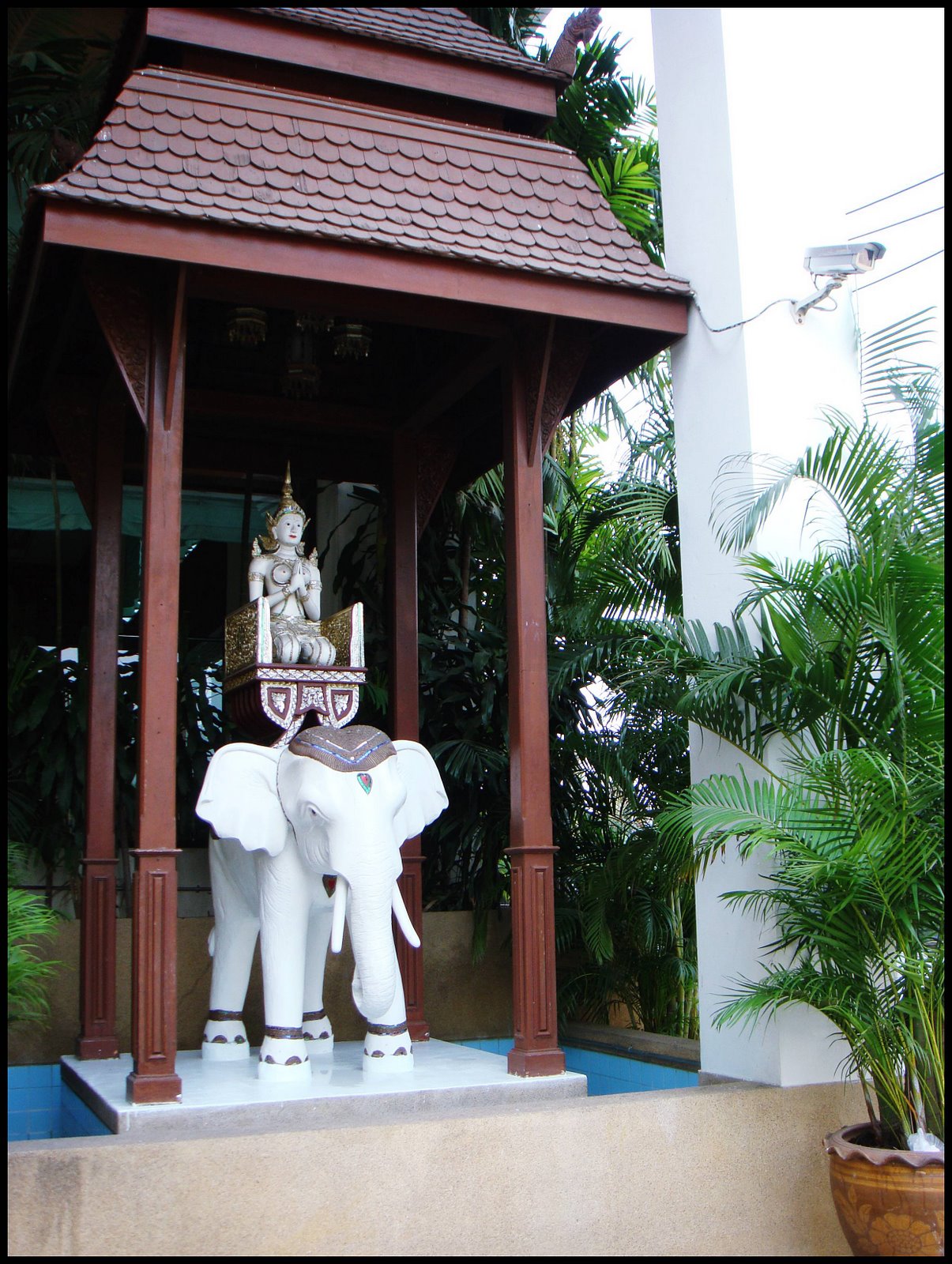 [DSC01462.JPG]