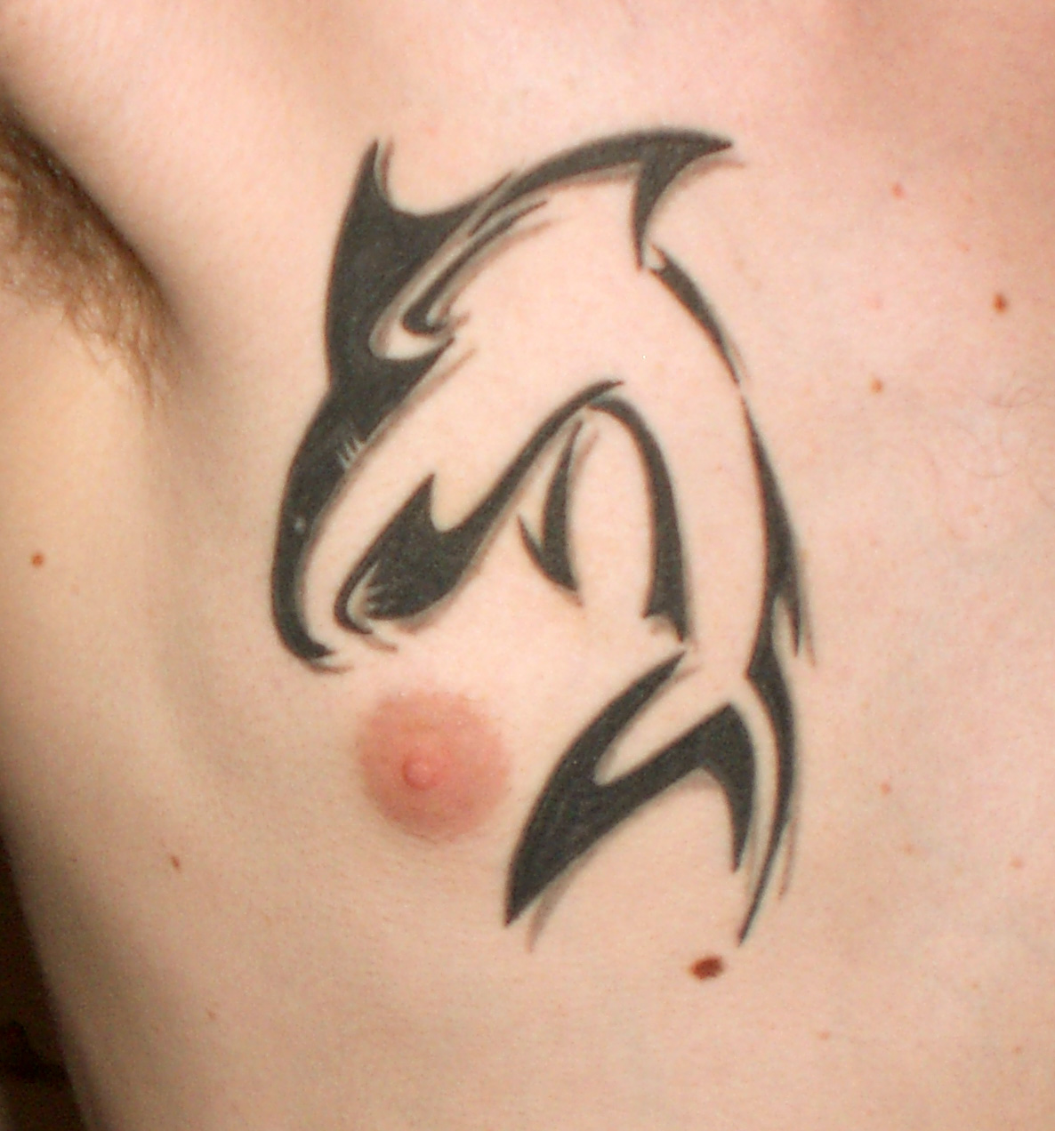Animal Tattoo Designs : Latest Animal Tattoo Designs : Latest