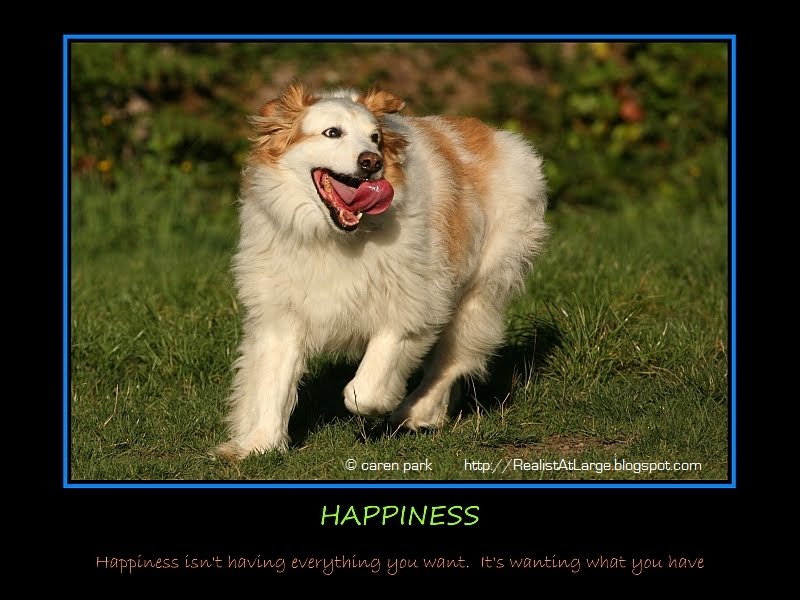 [069t++Happiness+-+77180+-+Anonymous.jpg]