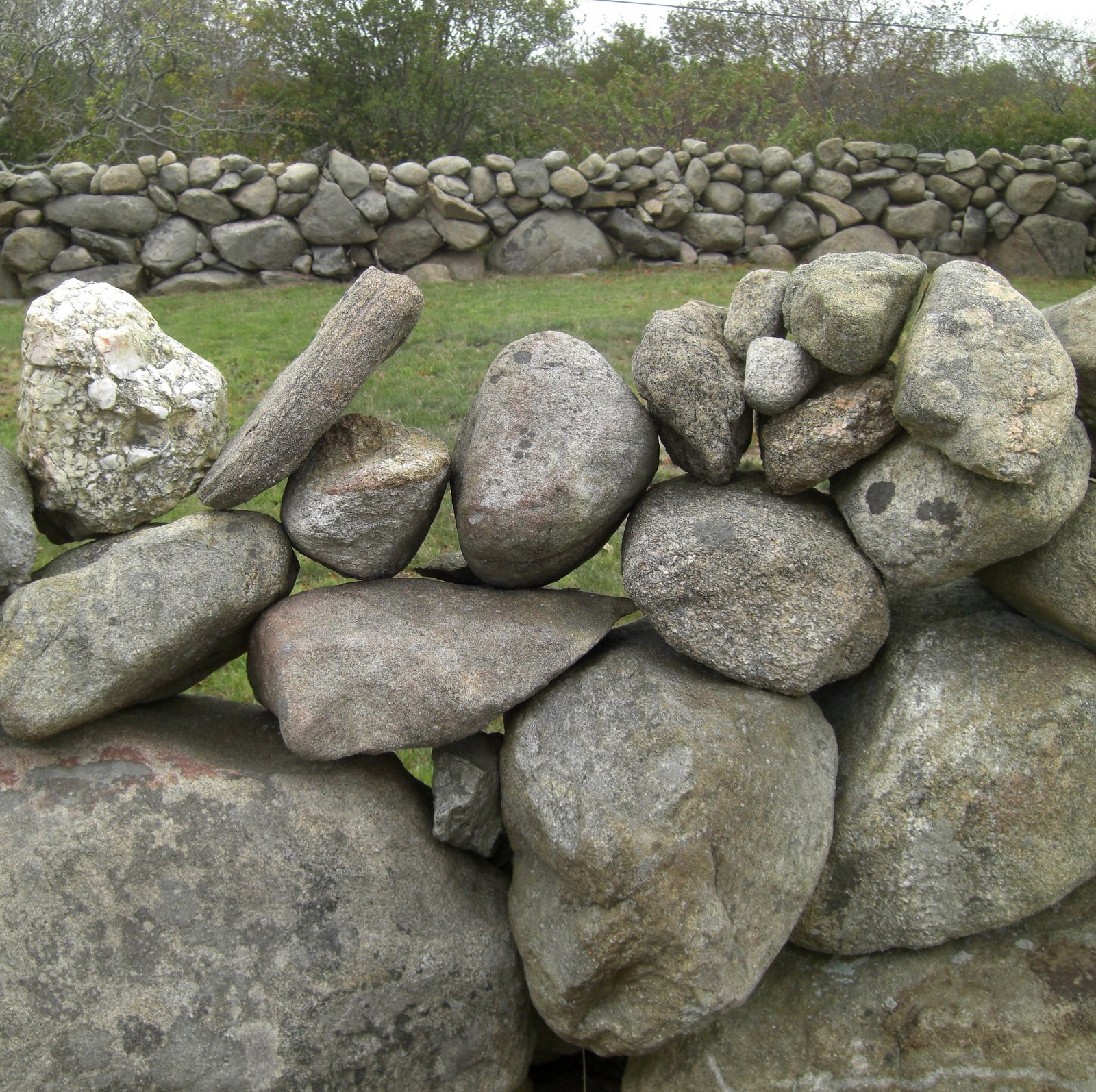 [CIMG4859.JPG]