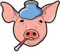 [swine+flu]