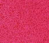 Emmanuelle Villard - Getti 4 (Detail) - acrylic on canvas - 66x82 cm - 2006