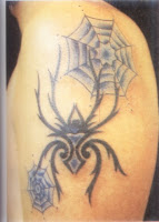 Spider Tattoos Photo