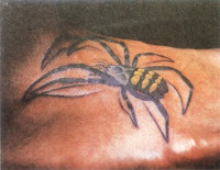 Spider Tattoos Photo