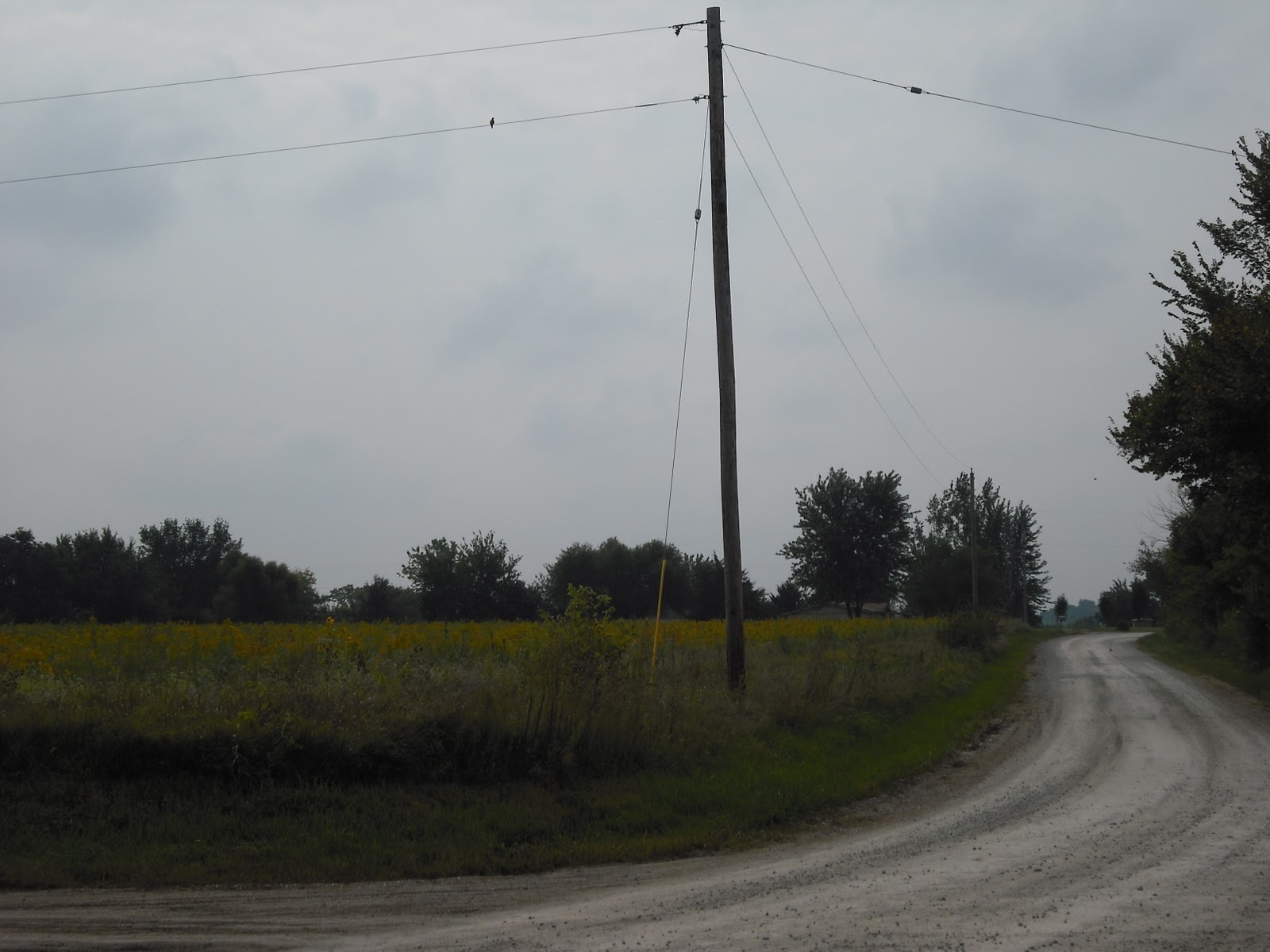 tauycreek 218 Prairie City & 87