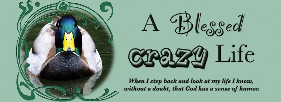 A Blessed Crazy Life