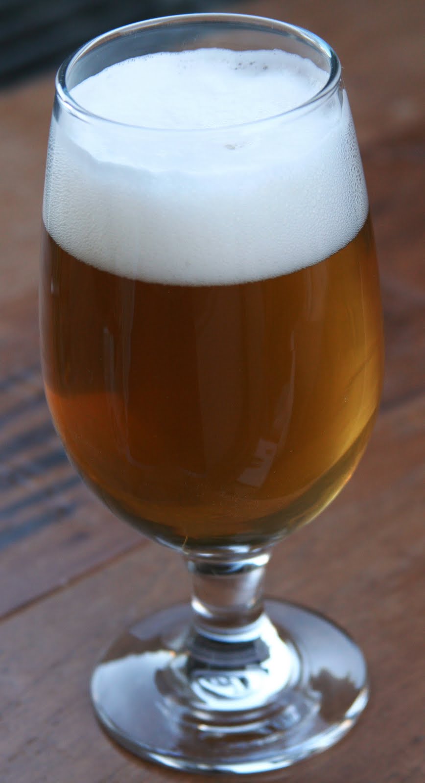 Ryan Brews Belgian Table Beer Review