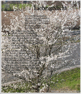 Meine Gedichte Blog 2010