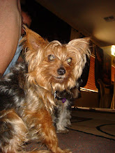 Peanut
