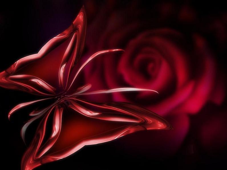 [RED-ROSE-AND-BUTTERFLY-1.jpg]