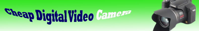 disposable digital camera