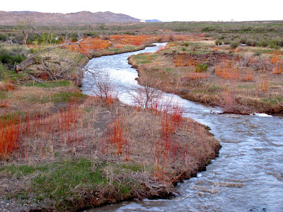 Sand Draw Road, Wyoming