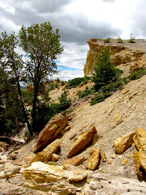 Castle Gardens Petroglyphs, Wyoming