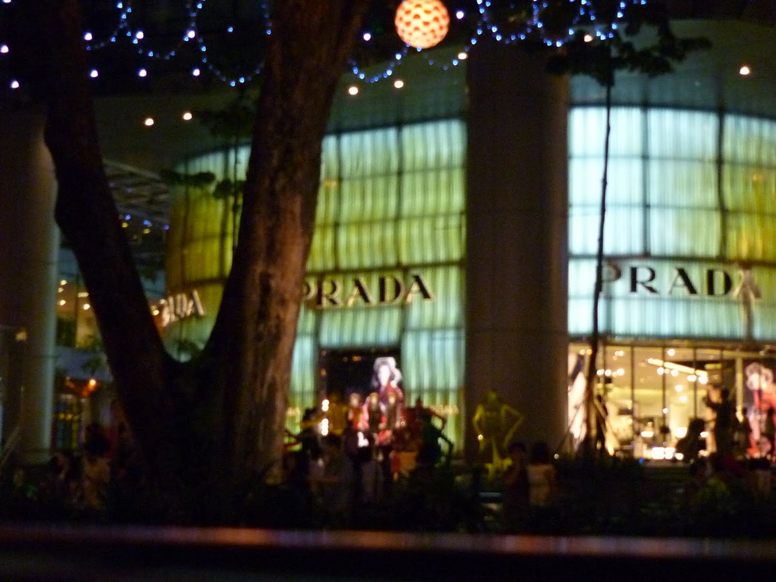[P1000602.JPG]