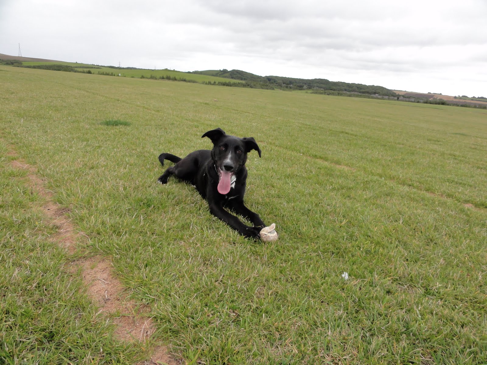 Wild Camping 2 Days holiday and the dog gets Spade