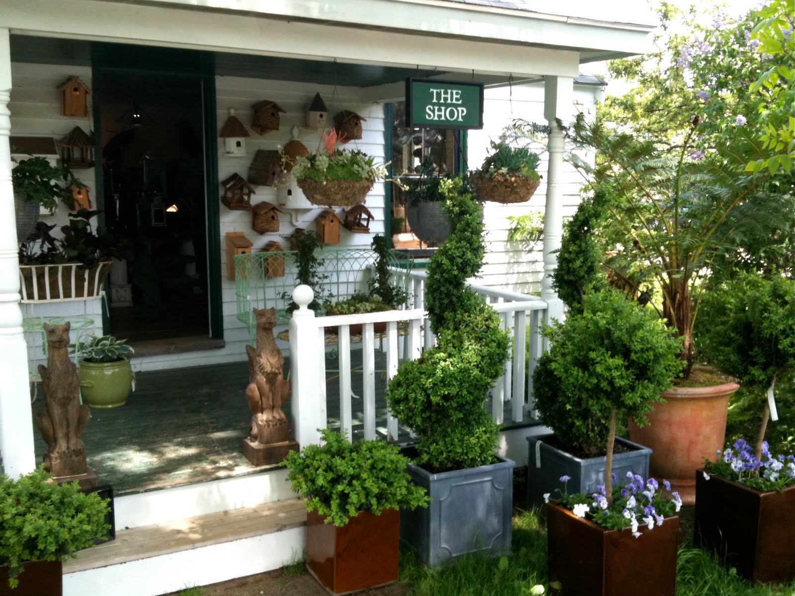 Garden Musings In Pursuit Of Beauty